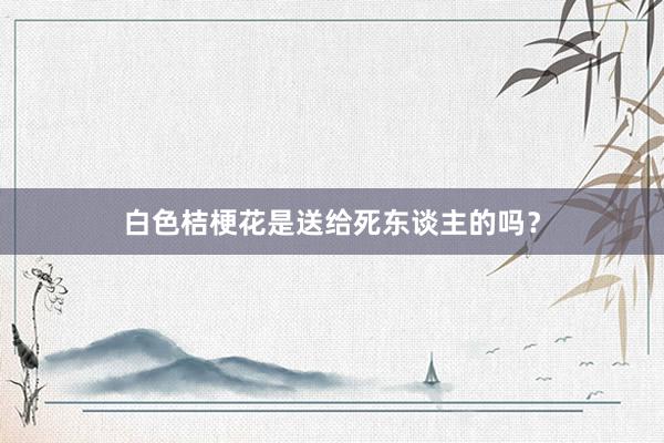 白色桔梗花是送给死东谈主的吗？