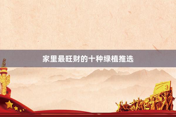 家里最旺财的十种绿植推选